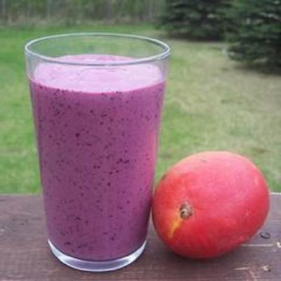 bessenzaken smoothie