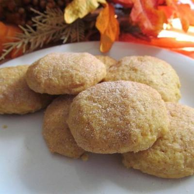 pompoen snickerdoodles