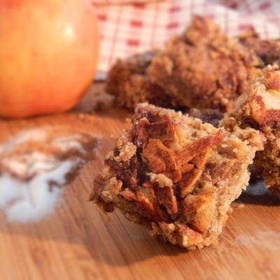 appel cider havermout koekjes