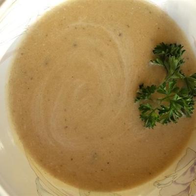 butternut squash en pastinaak soep
