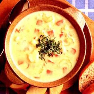 bloemkool en ham chowder