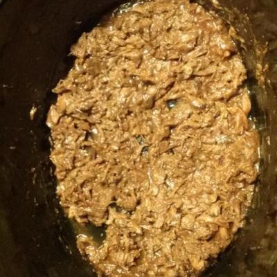 zuidelijke barbecue trok rundvlees broodjes