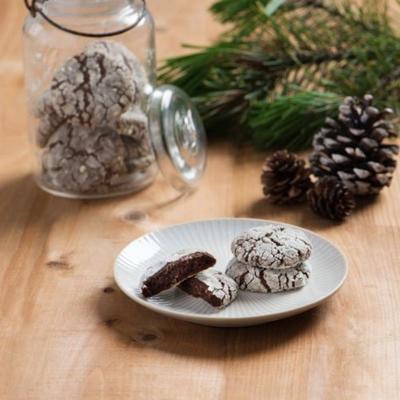 want alles gaat koekjesdeeg mocha crinkle cookies