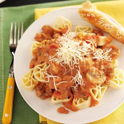zuidwestelijke stroganoff