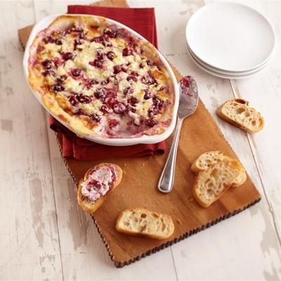 gebakken cranberry jalapeno dip