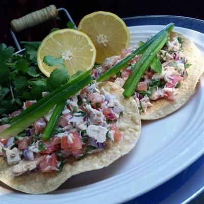 eenvoudige witte albacore ceviche