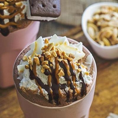 gemakkelijk freezy chocolade pindakaas shake