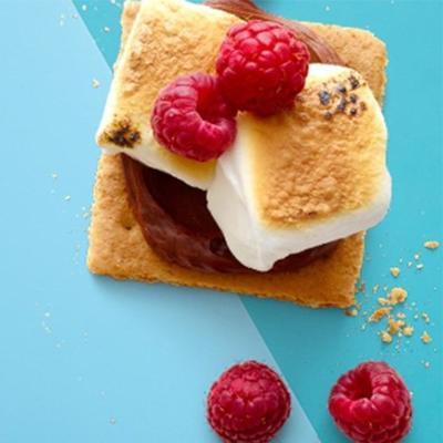 open-gezicht s'mores