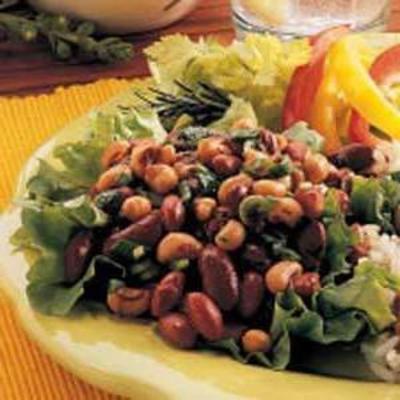 tex-mex bonensalade
