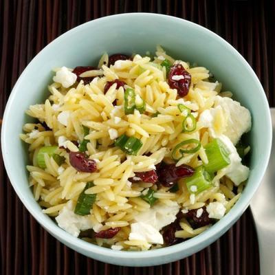 feta-cranberry-groene ui orzo salade