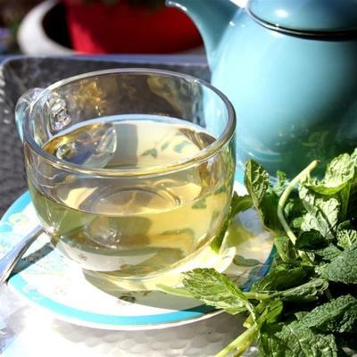 citroenverbena mint detox thee