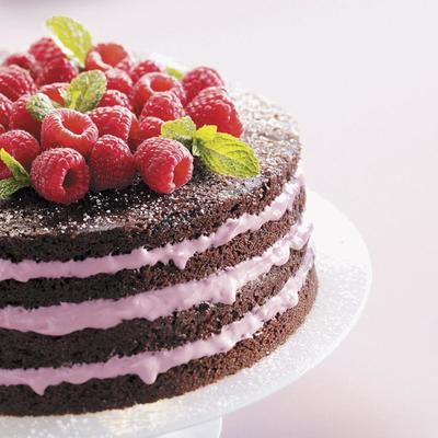 frambozencake met chocolade