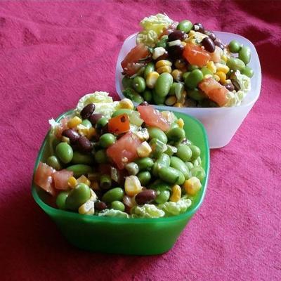 edamame-salade met huisgemaakte knoflook koriander vinaigrette