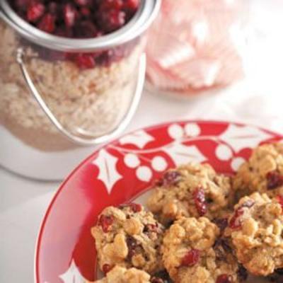 havermout-verscheurde tarwekoekjes potmix