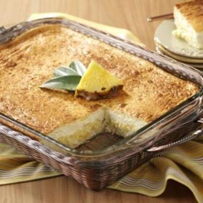 ananas dessert vierkanten