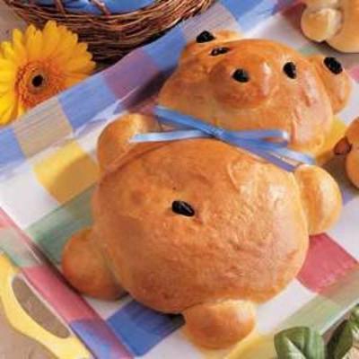 teddybeer brood