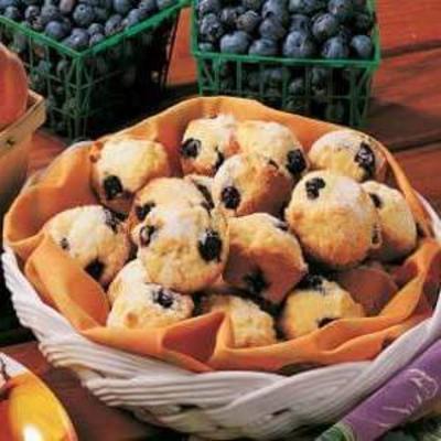 bosbessen mini-muffins