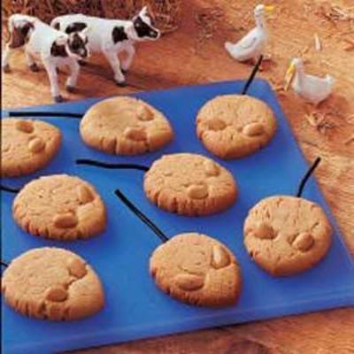 boerderij muis cookies