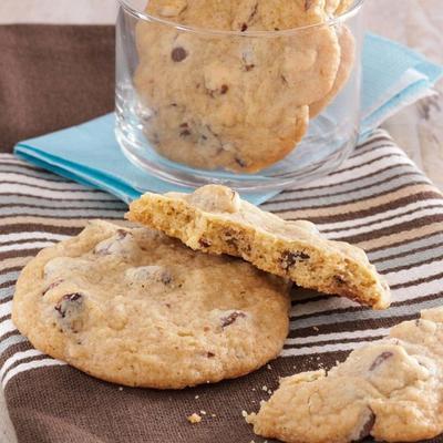 oregon's hazelnoot chocoladeschilferkoekje