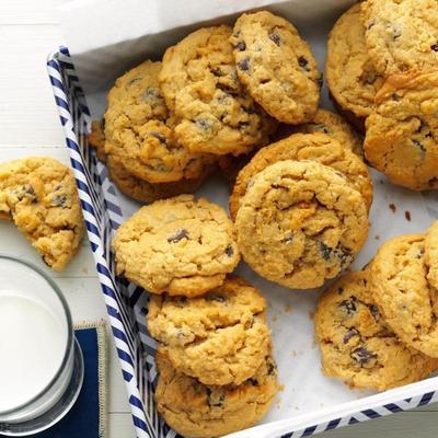 haverkrijwekkende chocoladekoekjes