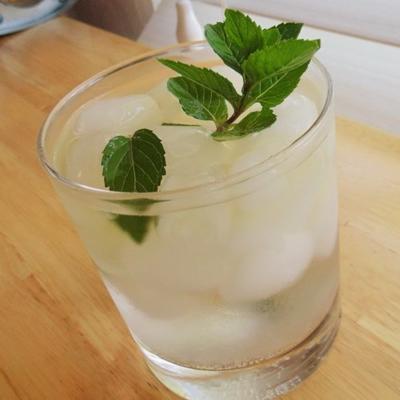 eenvoudige mint julep