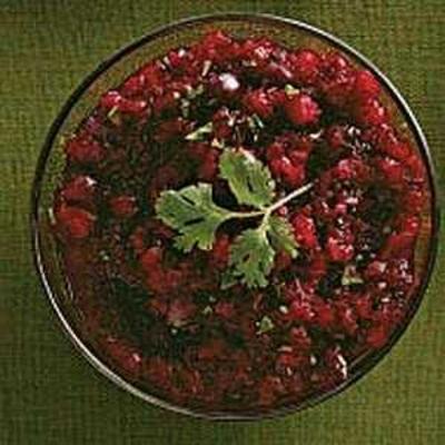 cranberry en chili salsa met tortillachips