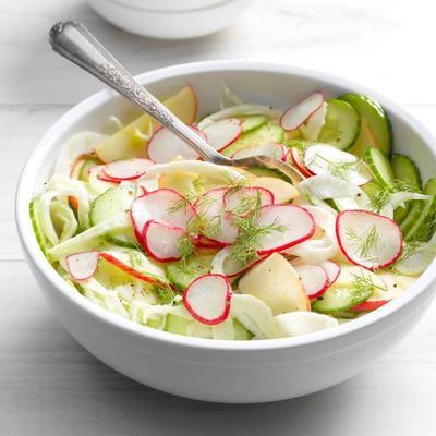 geschoren venkel, komkommer en honing appel