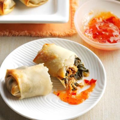ruig groen en getrokken varkensvlees eggrolls en chili