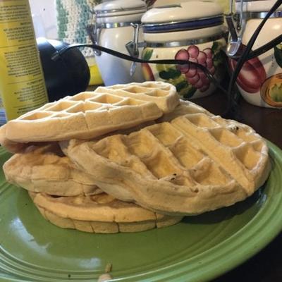 veganistische kaneelwafels