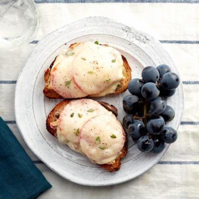 open-faced tonijn smelten sandwich