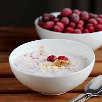 chocolade cranberry noot yoghurt dip