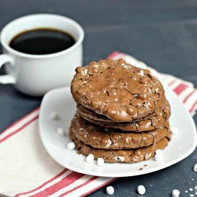 bloemloze warme cacaokoekjes