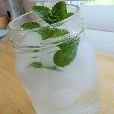 sprankelende mojito's bij de werper