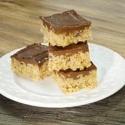 chocolade sunbutter® scotcheroos