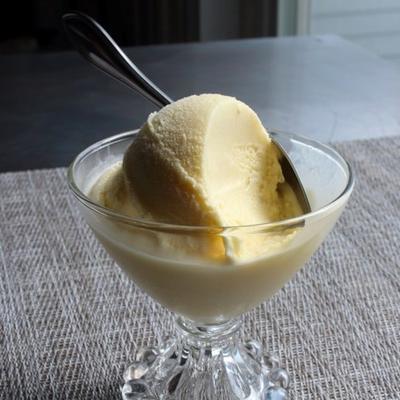 bevroren vanille custard