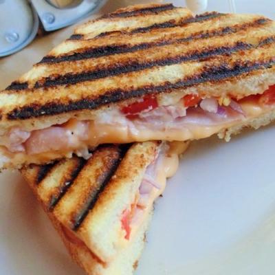 elementaire gegrilde panini