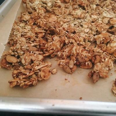 hartige noot en zaadgranola