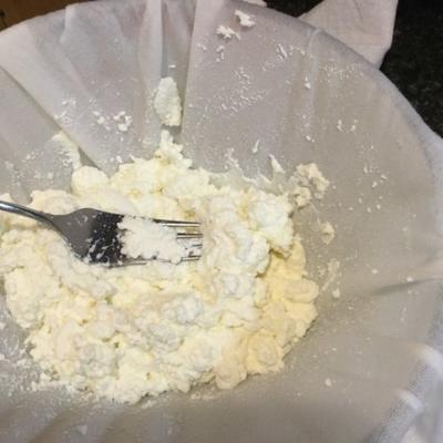 basis zelfgemaakte ricotta kaas