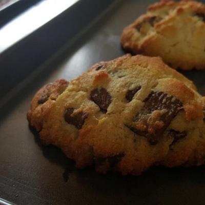 veganistische glutenvrije chocoladekoekjes