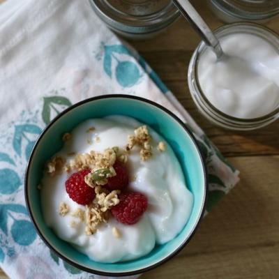 zelfgemaakte veganistische kokos yoghurt