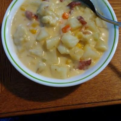 gebakken aardappel soep met rivels