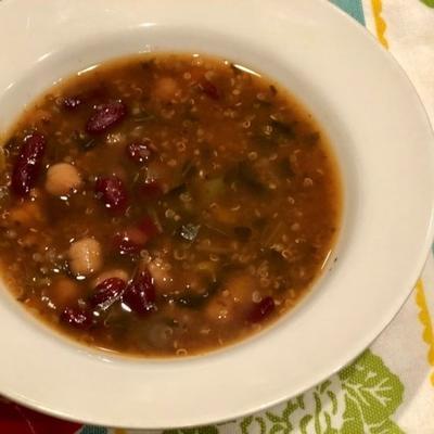 instant pot® vegan quinoa en boerenkoolminestrone soep