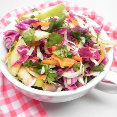 gemarineerde Mexicaanse vistaco's slaw