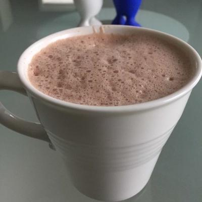 gemakkelijke veganistische warme chocolademelk