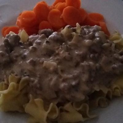 éénpans hamburger stroganoff