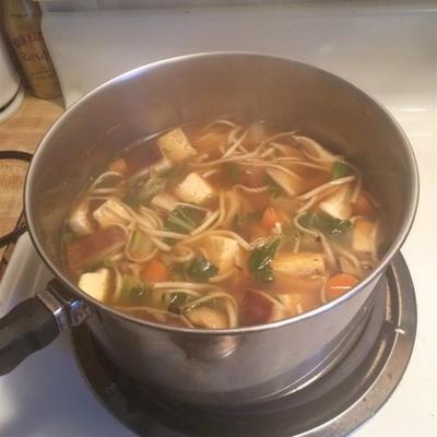 veganistische udon noedelsoep met tofu en groenten