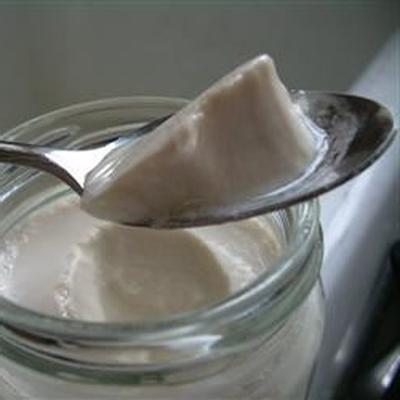 zelfgemaakte yoghurt-yoghurt recept