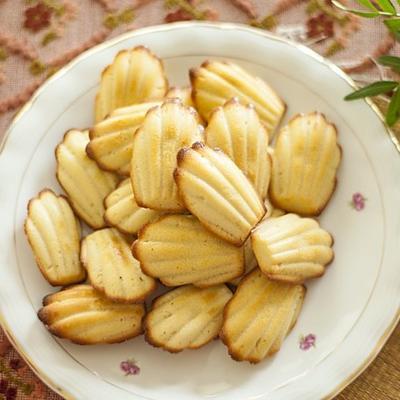 echte madeleines