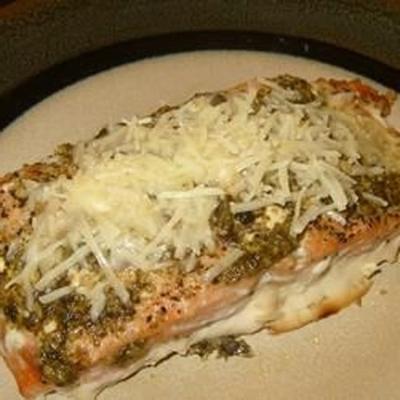 basilicum pesto zalm parmezaanse kaas