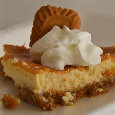 cheesecake met biscoff® korst